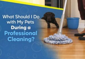 professional cleaner from a local house cleaning company in Centennial using pet-safe methods to clean a modern living room.