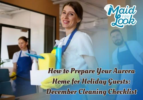 professional house cleaning